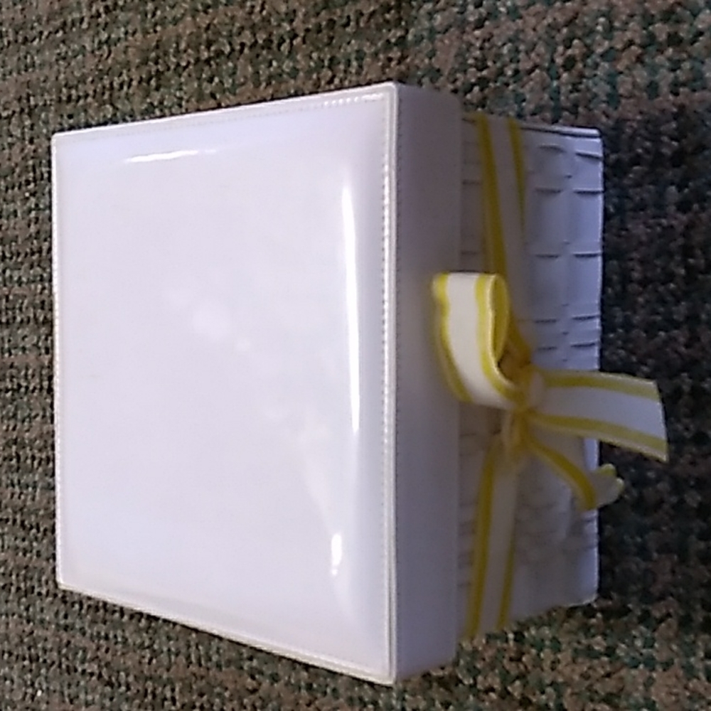 Vinyl storage box